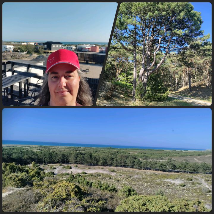 Hold trit med lokalområdet: Nyt fra Hammel