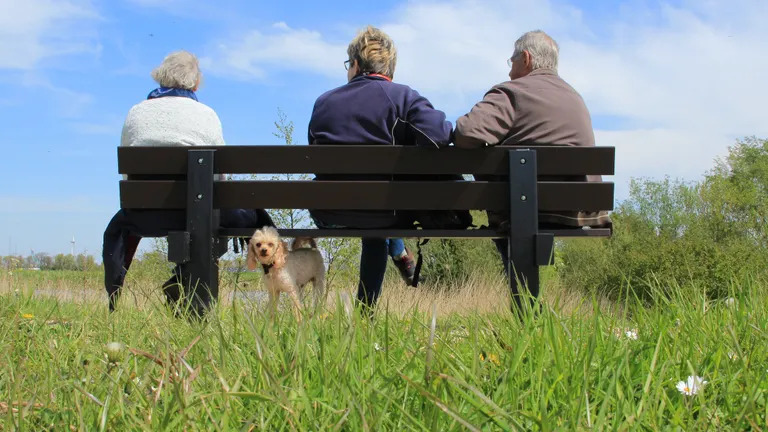 Ingen valg til Ældrerådet i Struer – otte kandidater udpeget automatisk for perioden 2026-2029
