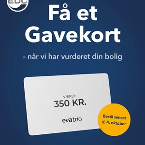 Opslagsbillede