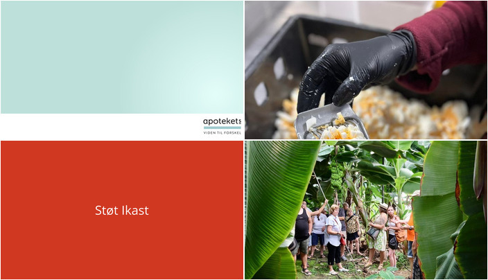 Nyt fra Maria's Deli, Ikast Apotek og Ans Rejser A/S