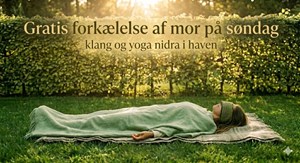 opslagsbillede