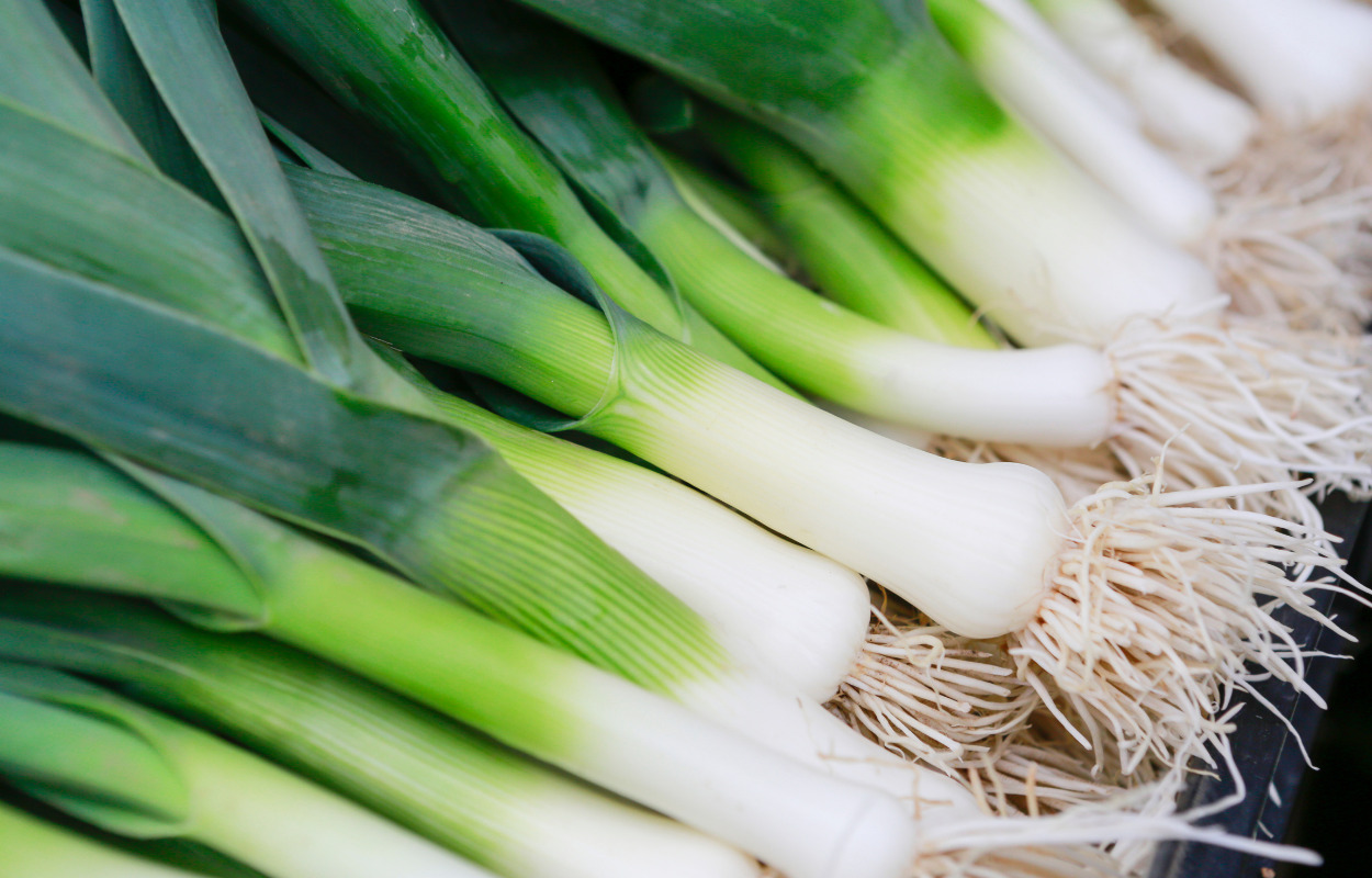 Snart er porre sæsonen slut