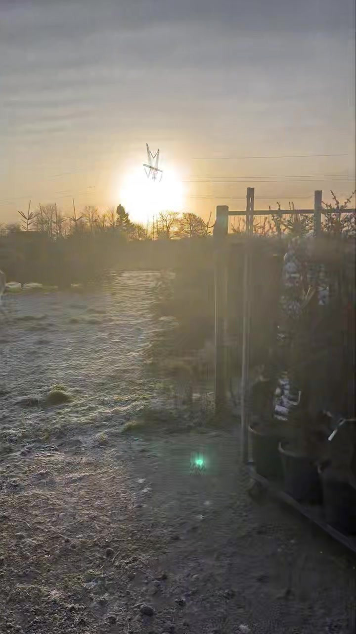 Midtjysk Blomstermarked lokker med gode tilbud i ny video