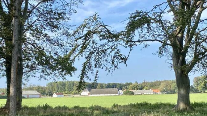 Vandretur ved Egerup Strand: Oplev sagnet om Ejler og Gunnild