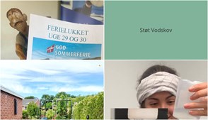 Nyt fra Ulsted Autoværksted, Vodskov Dyreklinik v/Thorstein Arnason og Mæglerhuset