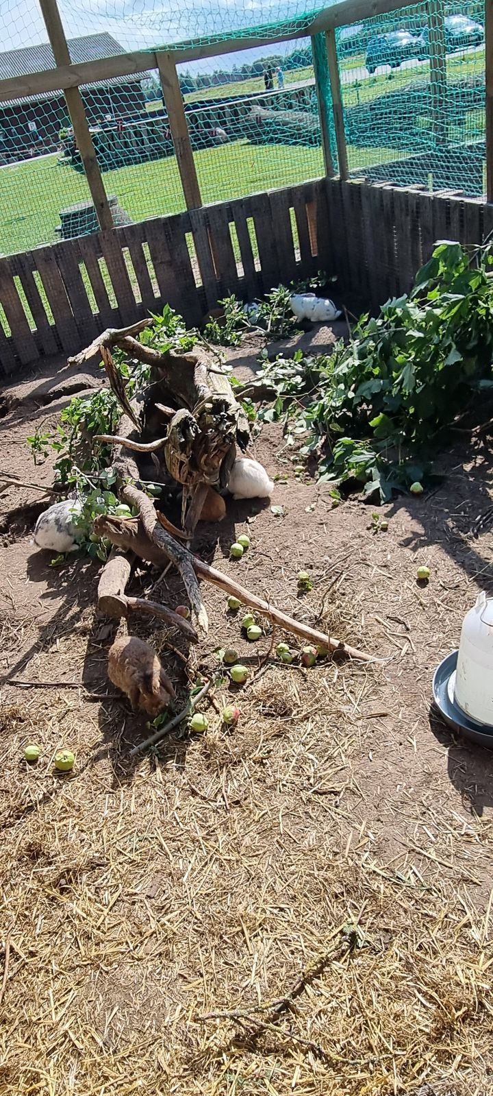 Hold dig ajour med dagens opdateringer fra Sæby