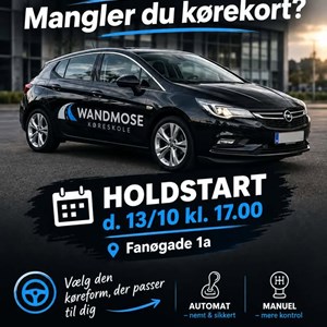 Opslagsbillede