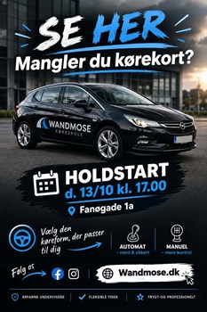Opslagsbillede