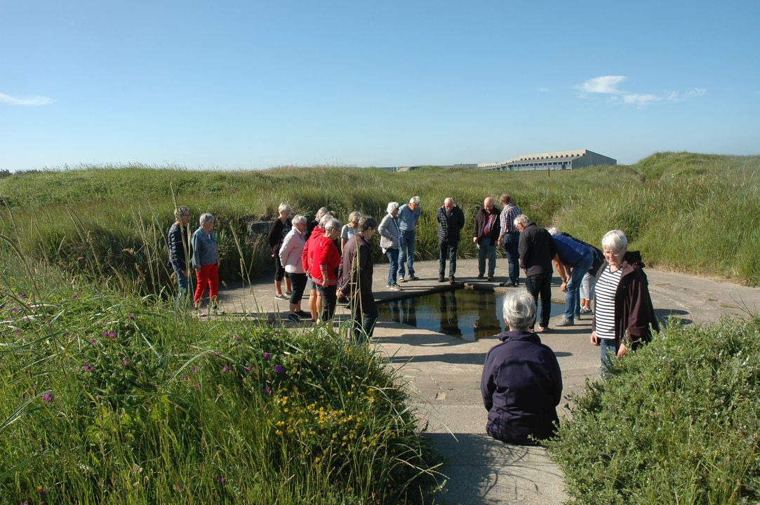 Hold dig ajour med dagens opdateringer fra Hjørring