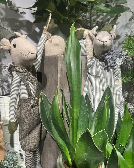 Fynbogården Blomster ApS præsenterer charmerende mus til hjemmet