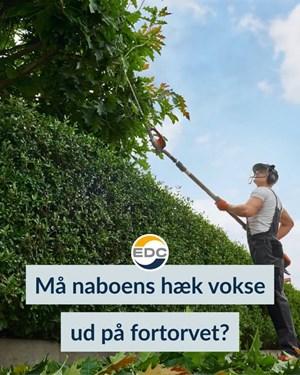 opslagsbillede