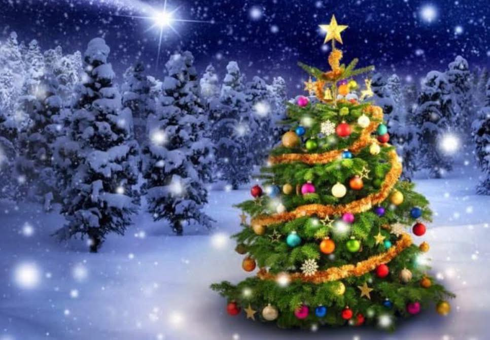 Klip & Krøl ønsker glædelig jul og informerer om åbningstider i det nye år