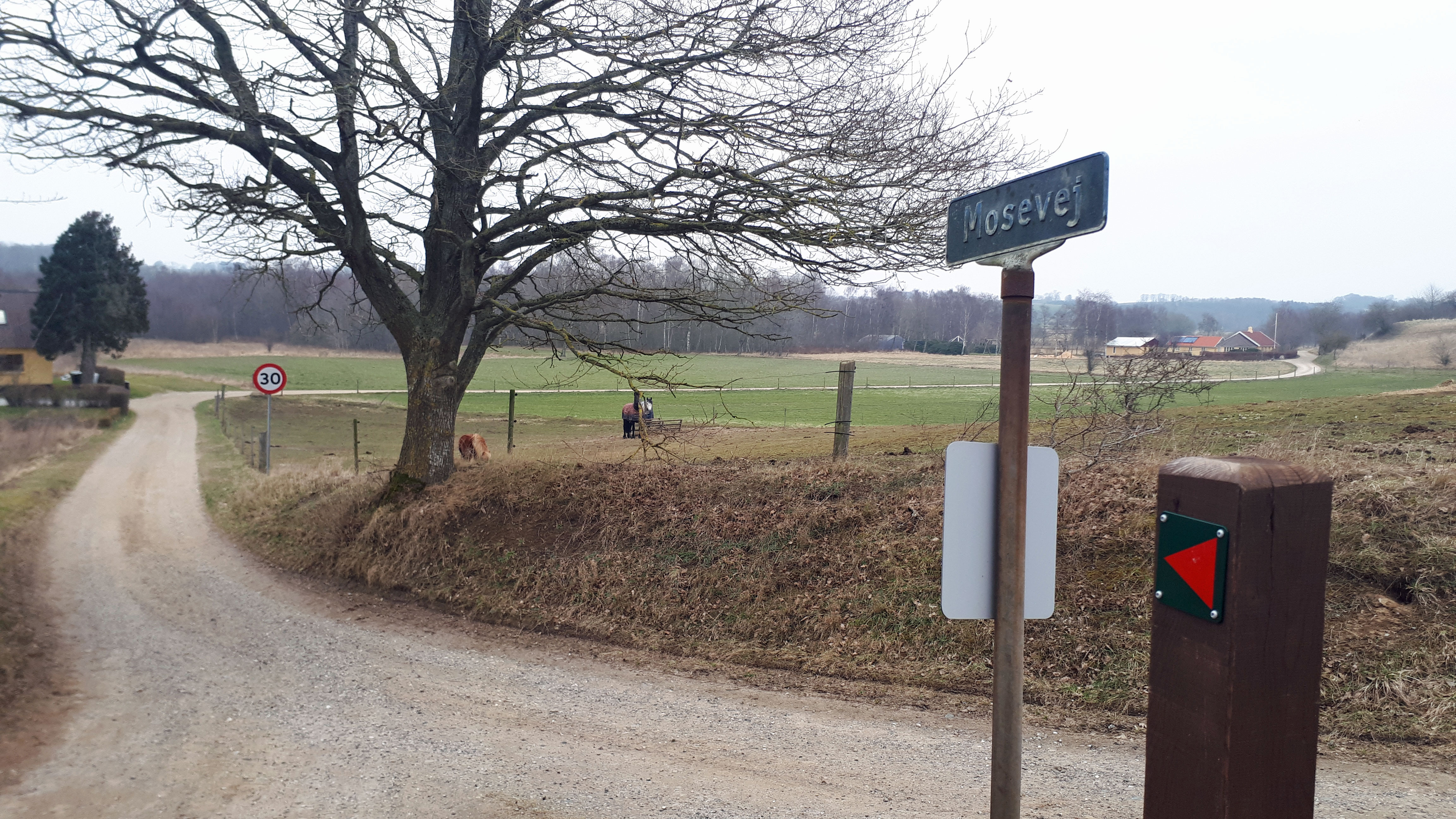 Oplev Odder Kommunes naturskønne landskab på en vandretur