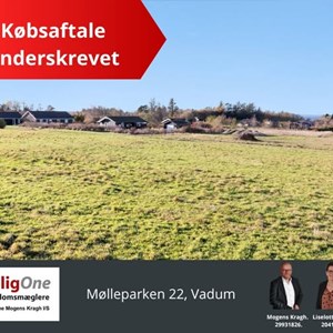 Opslagsbillede