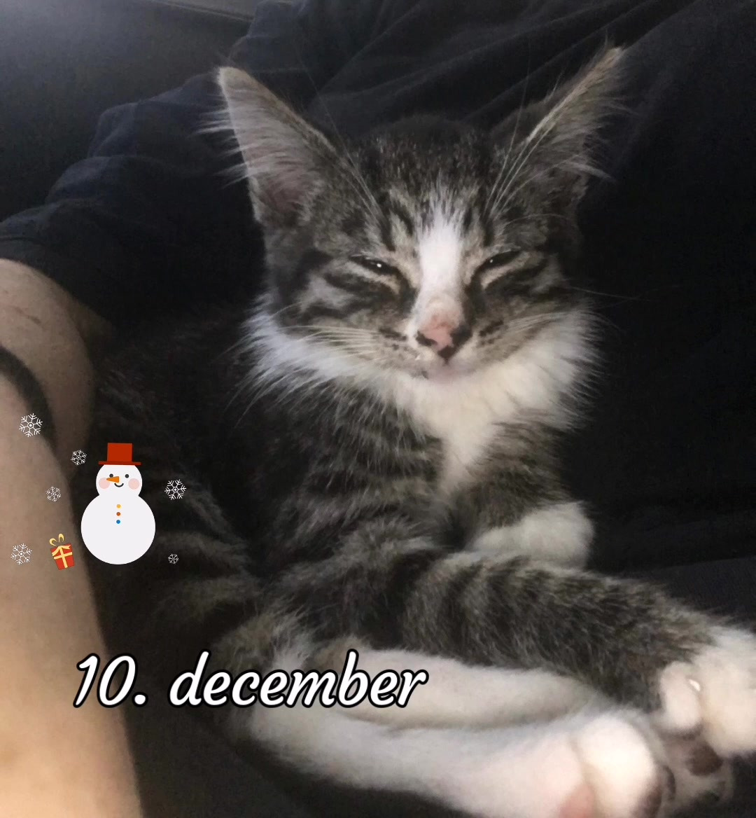 Se dagens updates fra Vejle her