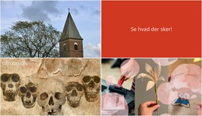 Hvad sker der i Hjallerup den kommende uge? Foredrag, litteraturgruppe og kreativ workshop