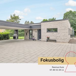 Opslagsbillede