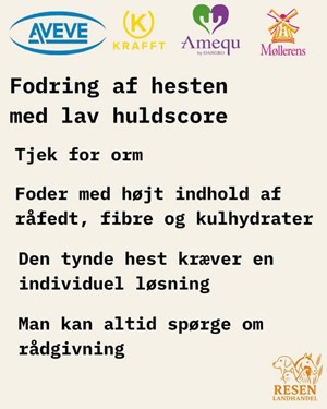 opslagsbillede