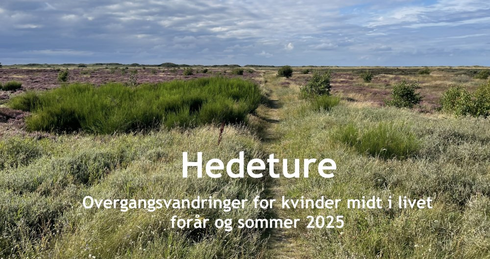 Udforsk Melby Overdrev: En hedetur for livet