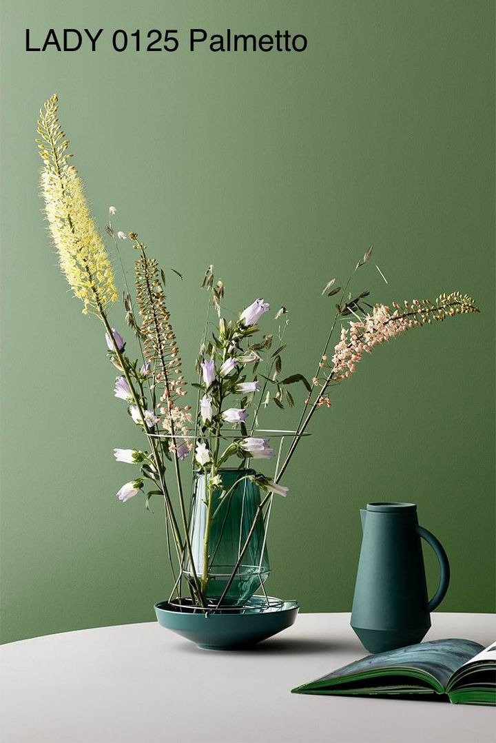 Opdatér dig her: Det nyeste fra Frederikshavn