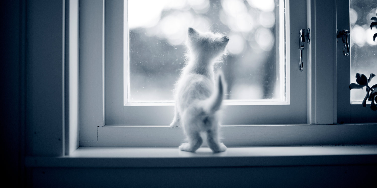 Hold dig ajour med dagens opdateringer fra Hjørring