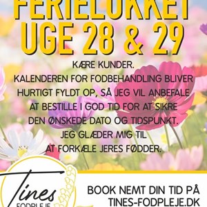 Opslagsbillede