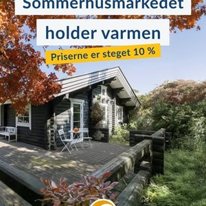 Opslagsbillede