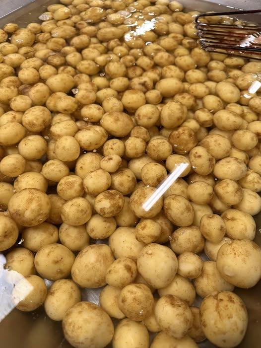 De første nye danske kartofler er landet hos Midtjydsk Gartnerhal