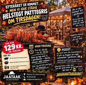 opslagsbillede