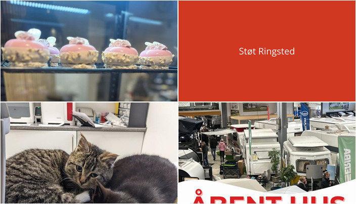 Nyt fra Slagelse Camping og Outdoor Center, Bruuns Chokolade og Vet til dig