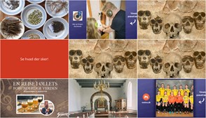 Spændende aktiviteter spænder over frøbytte, skydning og ølsmagning i Nibe