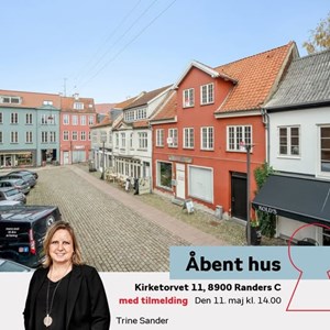 Opslagsbillede