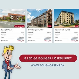 Opslagsbillede