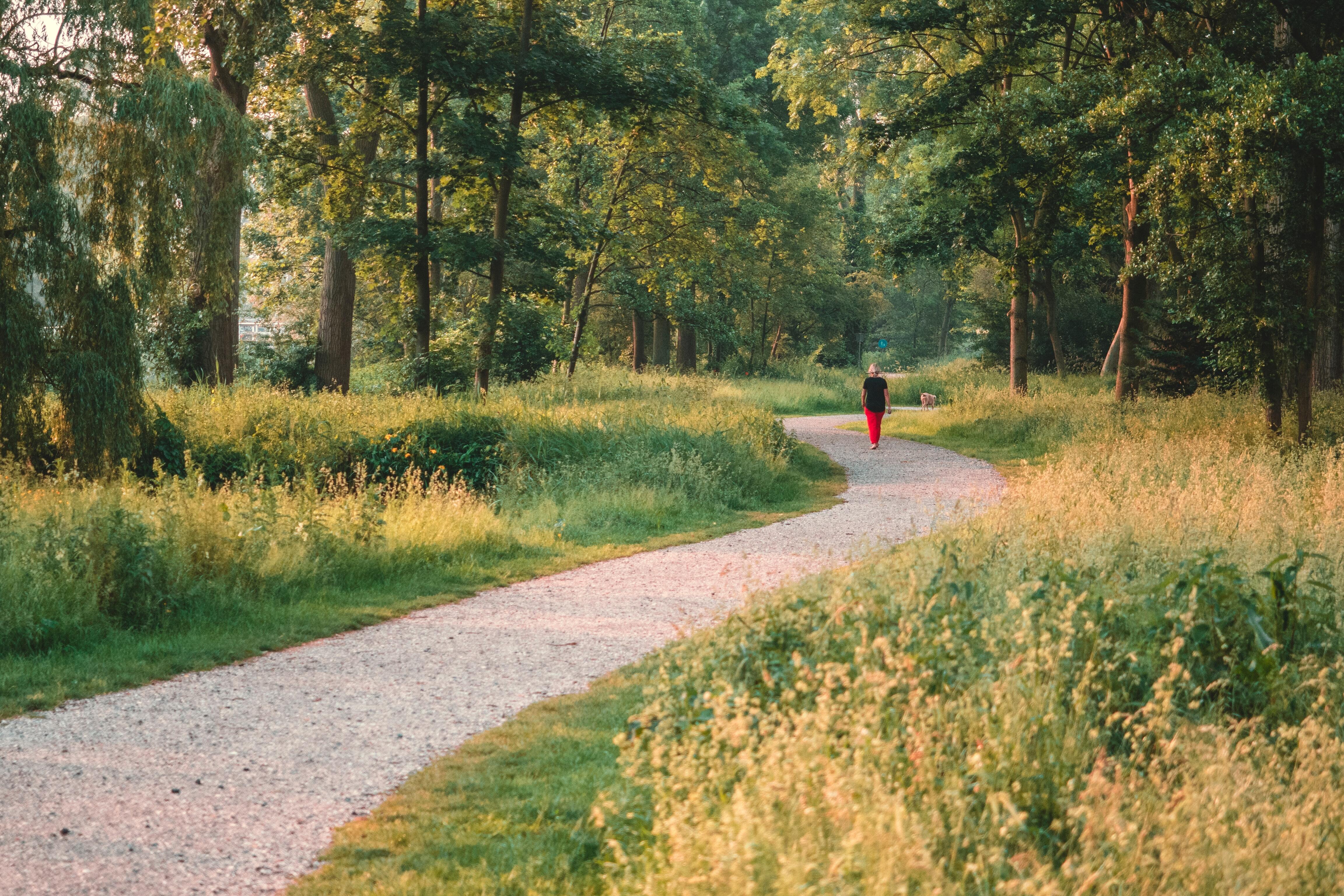 Nye initiativer omkring Viborg naturpark har ligget stille hen