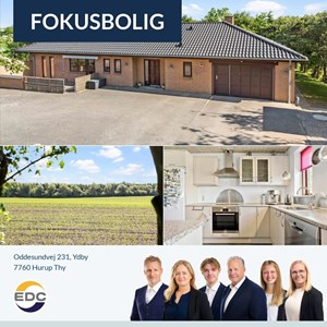 Opslagsbillede