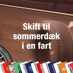 Opslagsbillede
