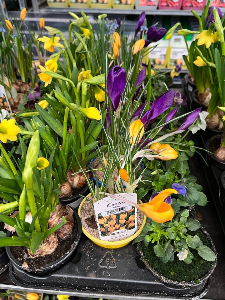 Opdatér dig her: Det nyeste fra Horsens