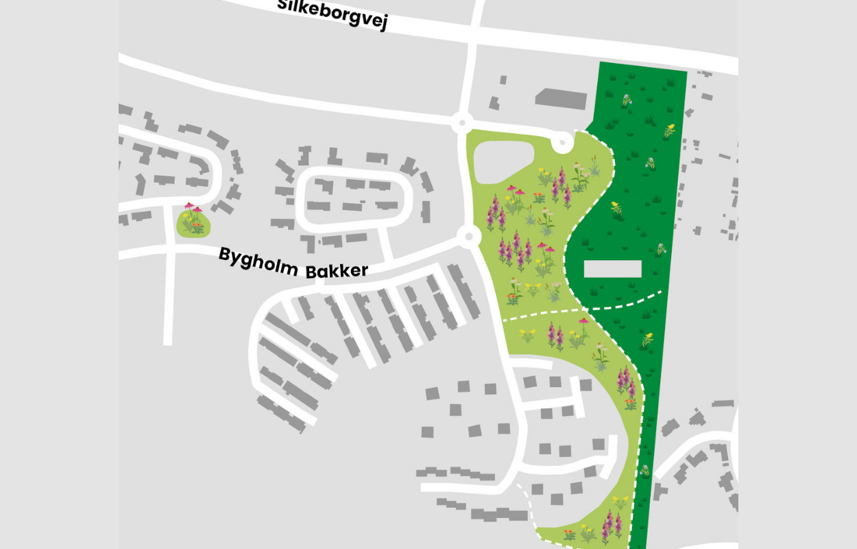 Til foråret spirer et 50.000 kvm stort spisekammer til insekter op i Bygholm Bakker ved Horsens