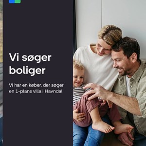 Opslagsbillede