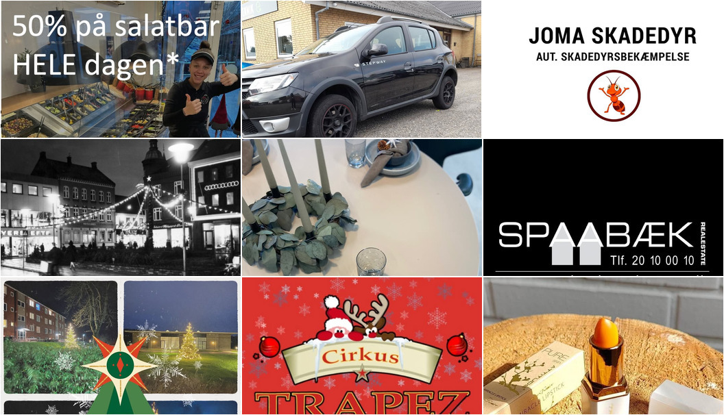 Nyt fra Joma Skadedyr, Kylling & Co Holstebro, MIN KØBMAND I ASP og 11 andre