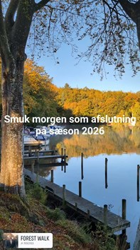 Opslagsbillede