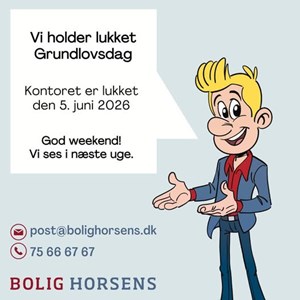 Opslagsbillede