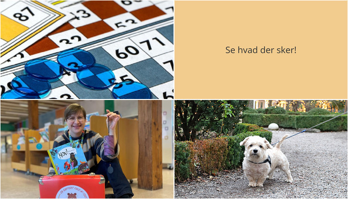 Oplev bankospil, børnefortællinger og julehaver i Ruds Vedby den kommende uge