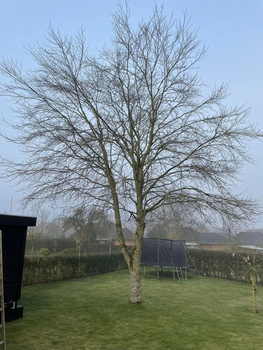 En finger på pulsen i Skive