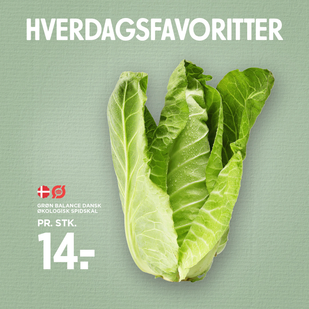 Økologisk spidskål og Beauvais survarer på tilbud hos MENY Hjerting i denne uge