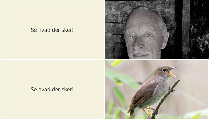 Oplev lokal kunst og natur i Vedbæk denne weekend