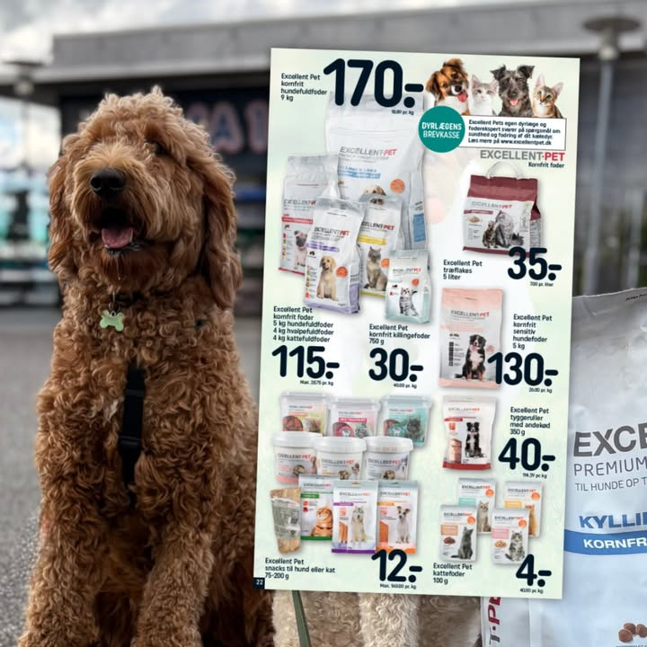 REMA 1000 Gødvad udvider udvalg til kæledyr: Excellent Pet foder nu fast på hylderne