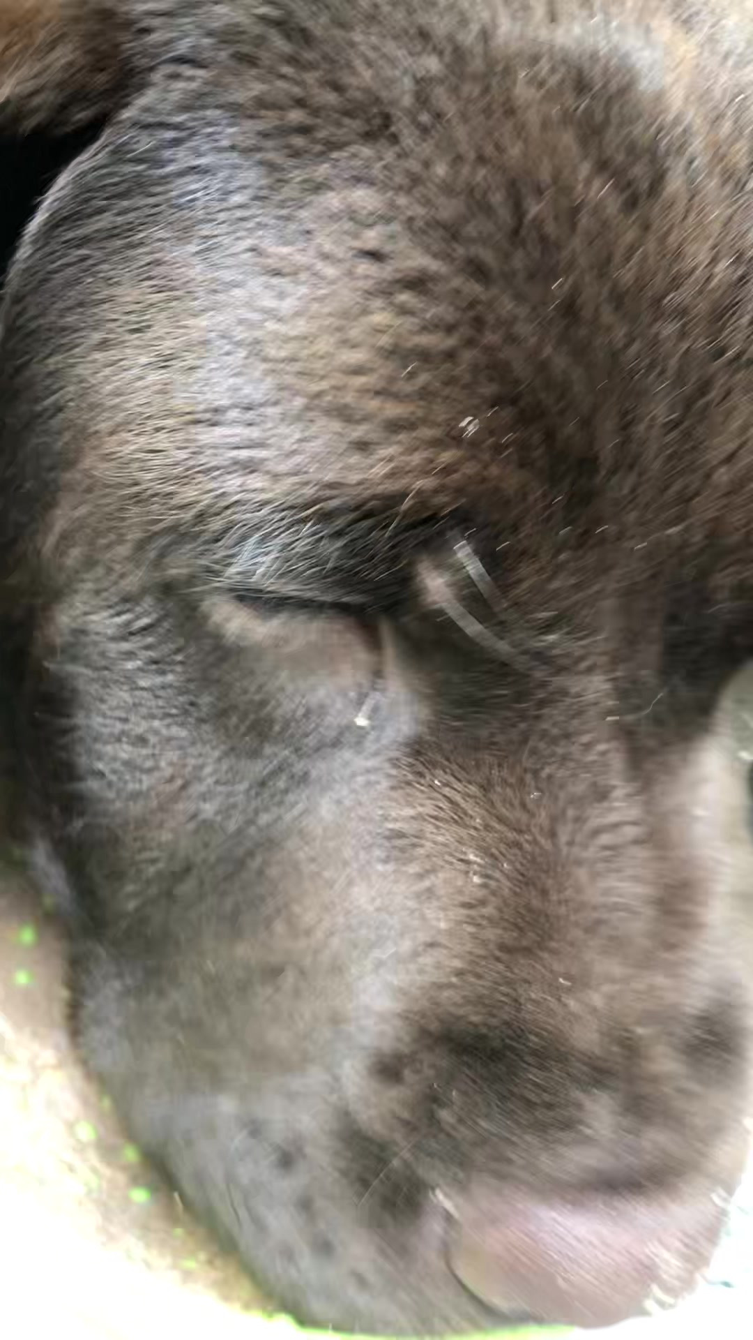 Opdatér dig her: Det nyeste fra Herning