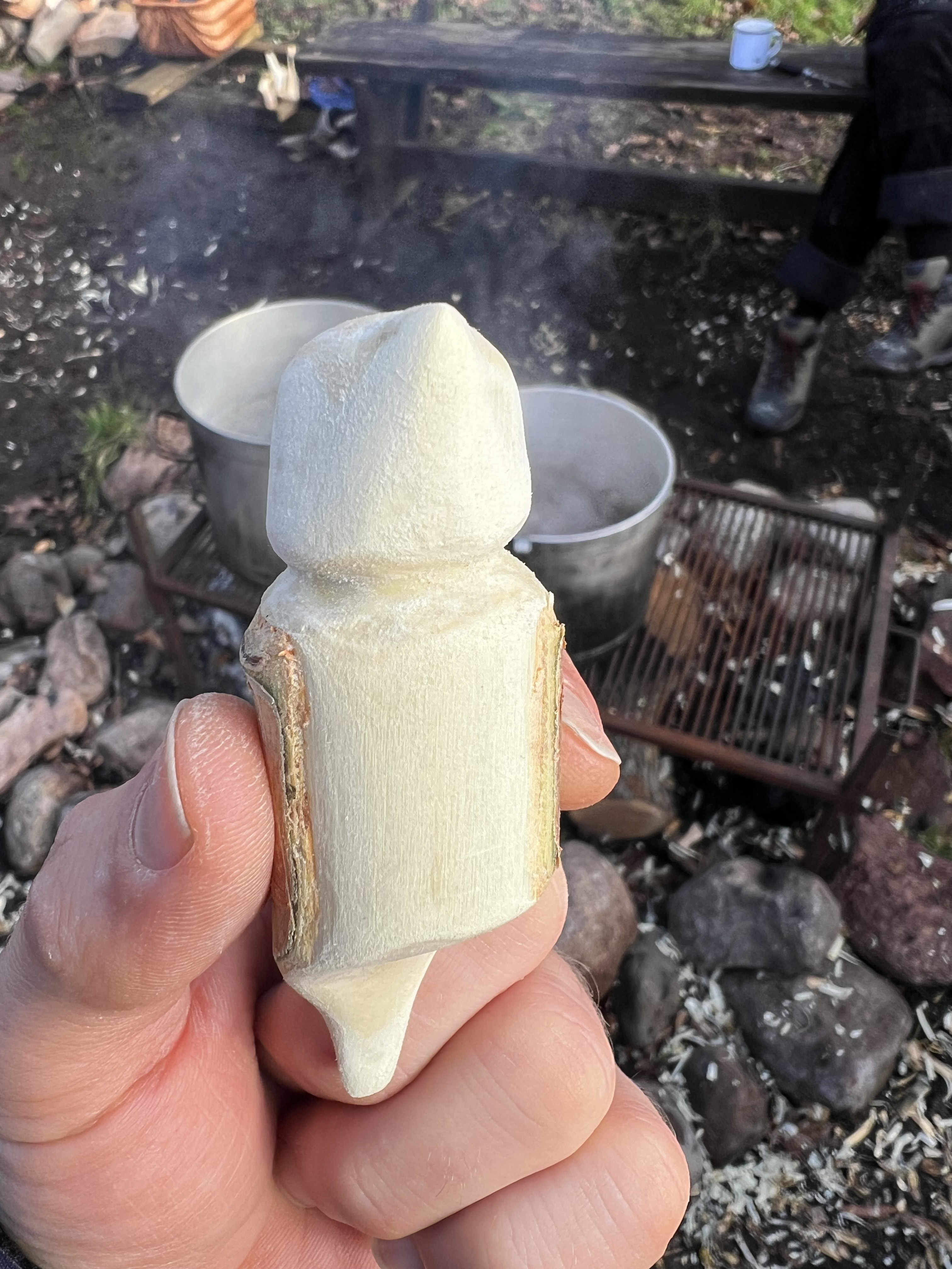 Oplev naturen på Samsø: Træning, mindfulness og kreativitet for alle aldre