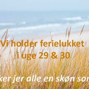Opslagsbillede